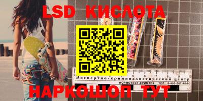 прущие грибы Гусь-Хрустальный