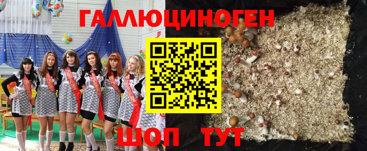 купить наркоту  Галлюциногенные грибы Psilocybe  Вход с VPN  Можайск 